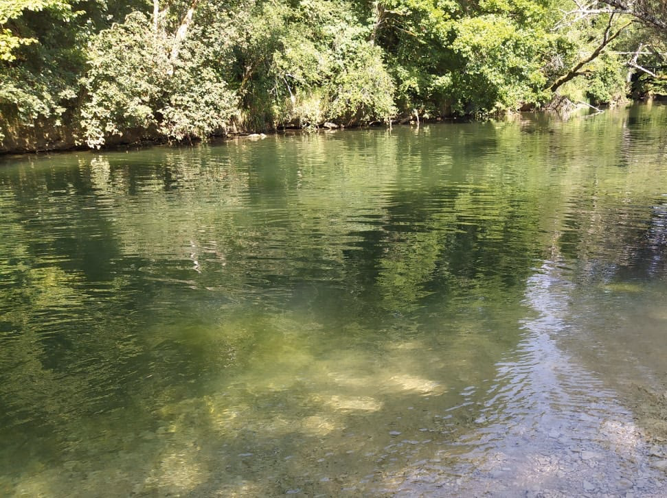 Une rivière peu profonde à l'eau claire, bordée d'arbres, dont on devine les galets du fond.